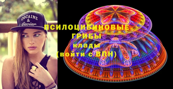 прущие крисы Зеленодольск