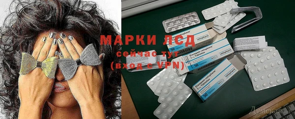 хмурый Зеленокумск