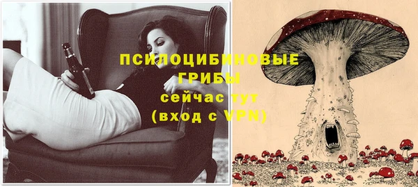 хмурый Зеленокумск