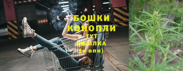 индика Зерноград