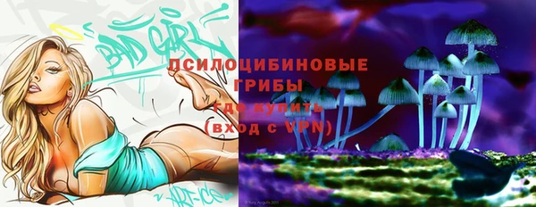 хмурый Зеленокумск